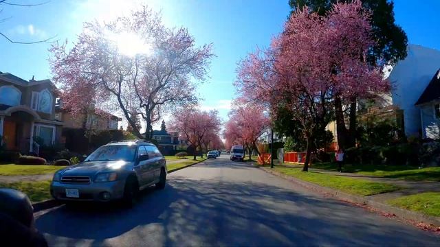 Ride 94 - Looking For Cherry Blossoms On The S, SW And SE Areas Of Vancouver (keto Version)