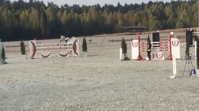 Серый конь Алекс(2)