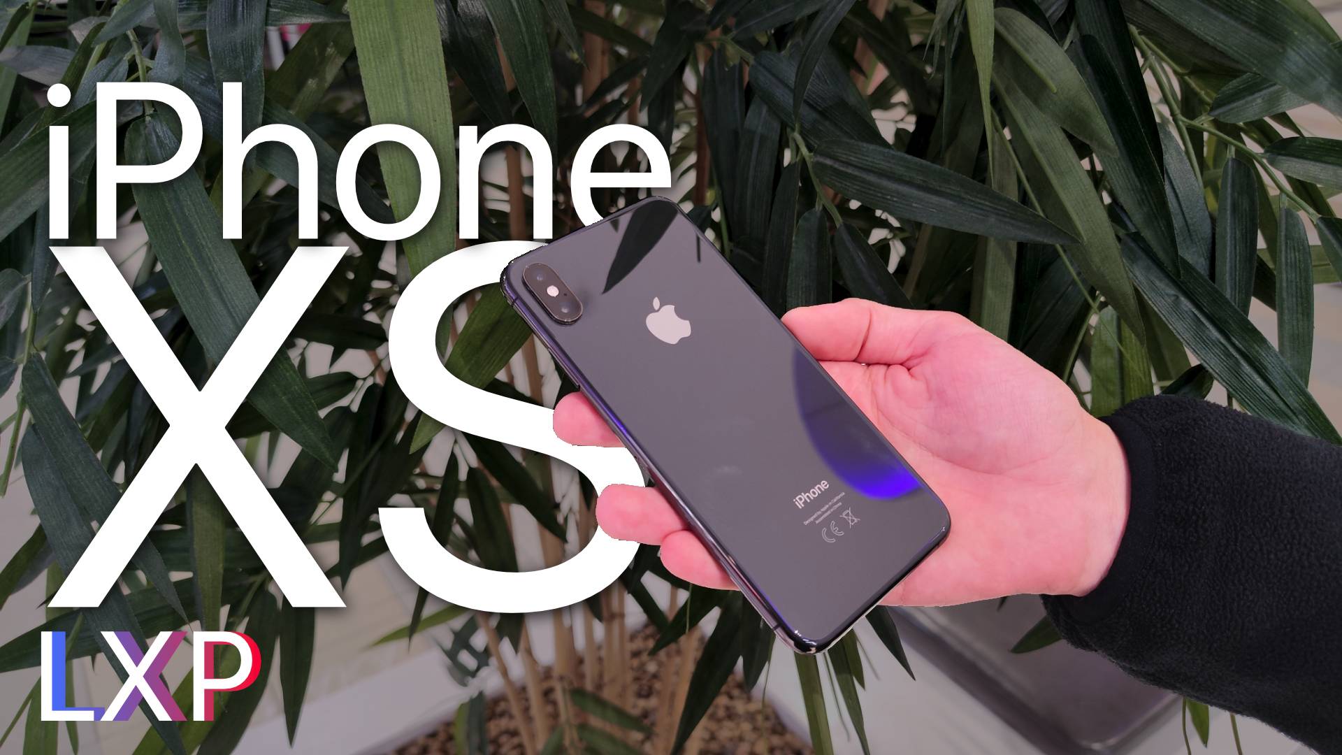 Интересный IPhone. Обзор IPhone XS (XSMAX)