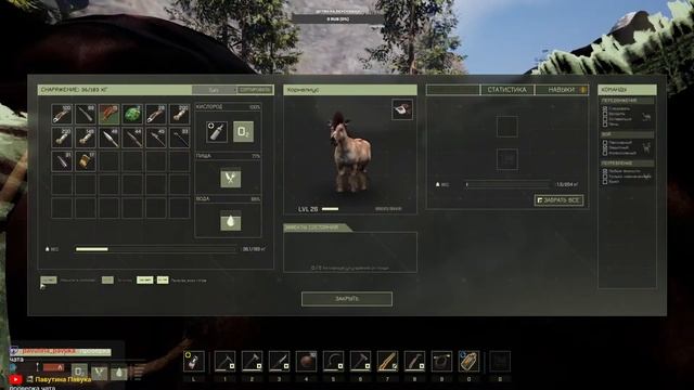 Icarus выполняем задания