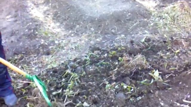 супер лопаты из инета