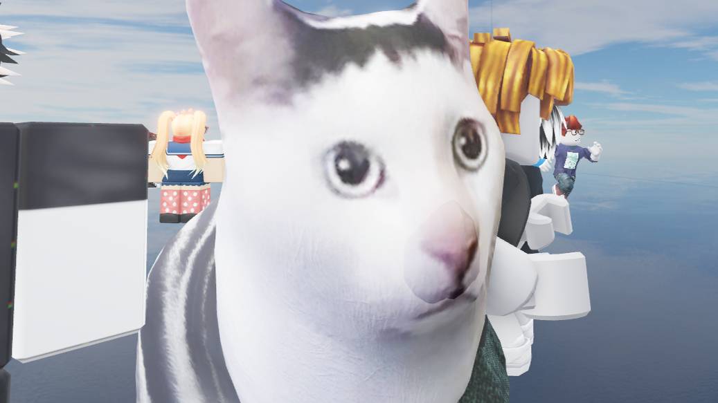 обнова TSB бин