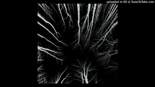 AMBIENT + PHARAOH + ATMOSPHERIC TYPE BEAT | Aster | Prod. Floxx.