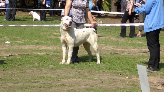 СТАЙЛ СМАЙЛ МУНИРА 11.05.13 