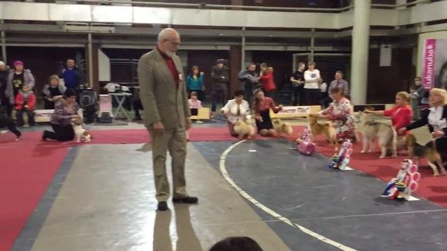 Мистер Пес 2015 Екатеринбург