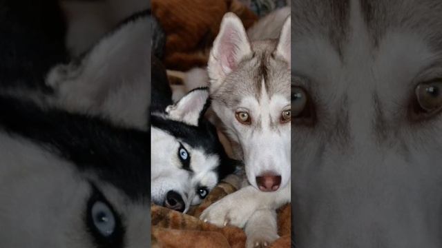 2ab9c1089f7341c3bfa88802e796f8e6