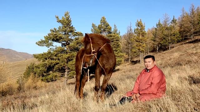 2db98b61c202ad87a5ed623884009427