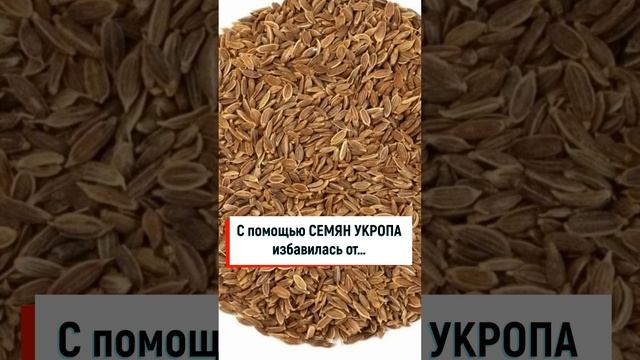 Действие семян на организм мужчин