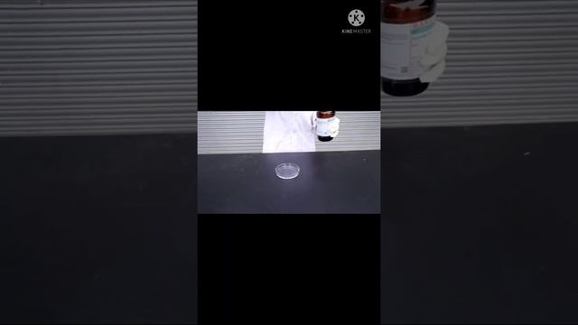 Sulphuric Acid Vs Potassium Permagnet | (H2SO4) Vs (KMnO4) | #acid #Chemical @Mr.Indian Hacker
