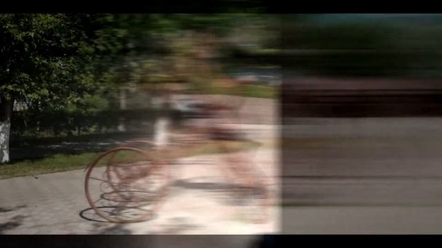 Прогулка по парку 2019