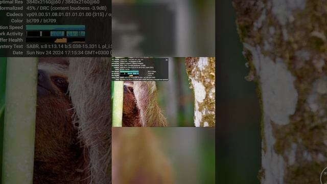 Купил самый дешёвый ноутбук на Ozon и им можно пользоваться!