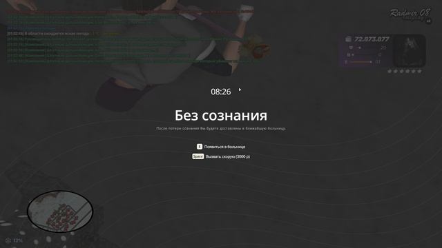 RADMIR CRMP 2024-12-23 01-03-29