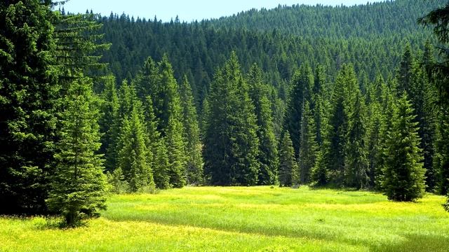 Ребёнок постоянно смотрел на что то в штанах. Узнав причину мать позвонила в полицию