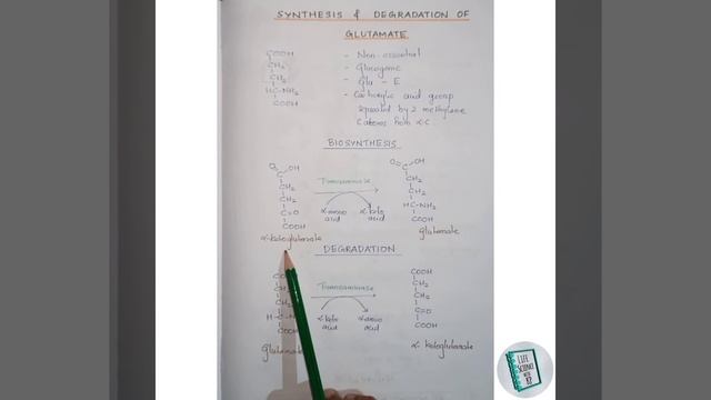 7756ed981bb6db1c24939674610a1710