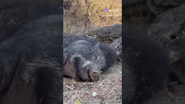 A787446775ffe789d34c2fb2740d8cdf