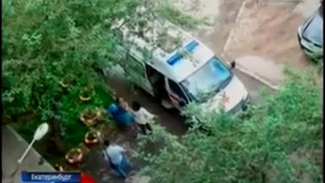 Россия1 02 08 18 20 45 Собака