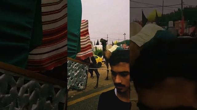 1 марта 2023 г.