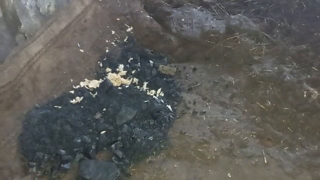 Моё маленькое свино водство!!!