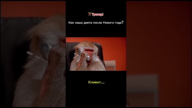 Есть такое ?😀