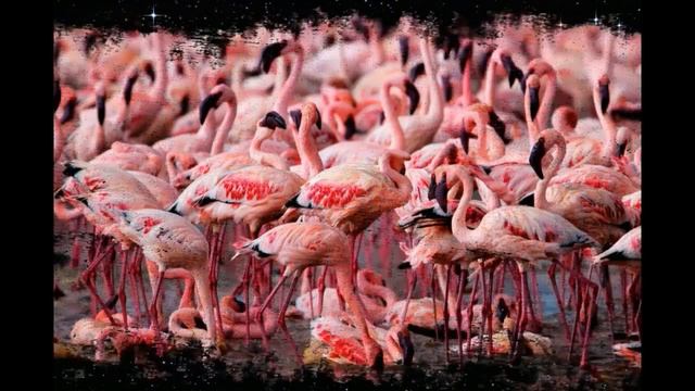 B61c1b2cbd807caa986322d0c0c7af98