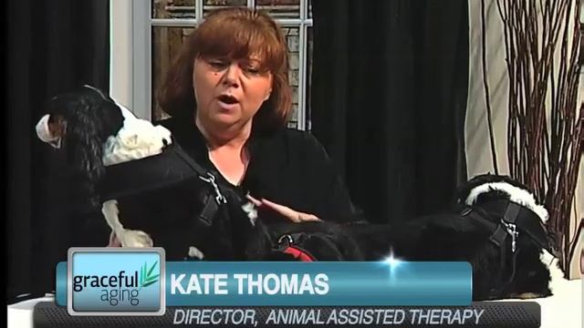 How Do I Stop A Dog From Whining?