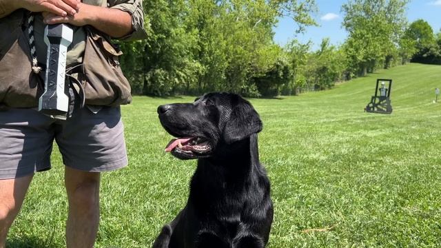 3d99c2726ef90d75fda4615246f8870f