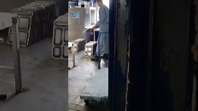 Сотрудники Ренейссанс 