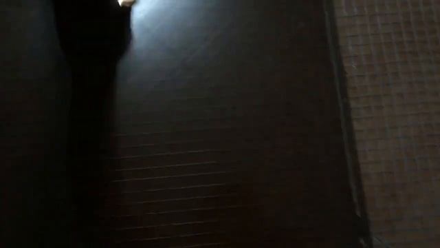 Клетка для перепелов. Вьетнамский рынок.