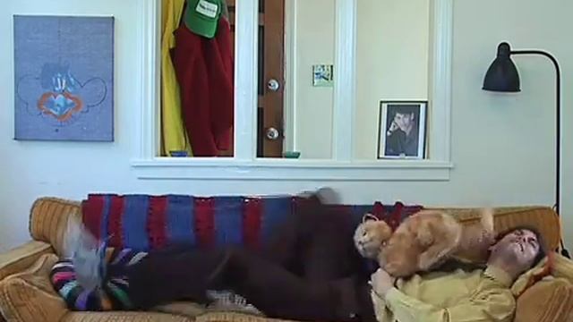 DANK AND NANK PREVIEW 3 - Nank's Feline Fetish