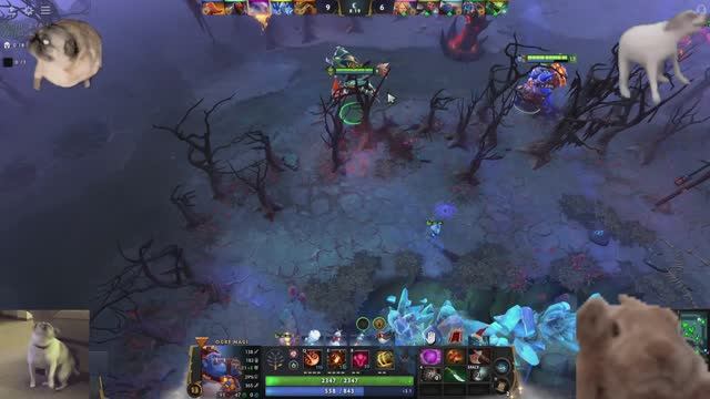 Тестовая дота