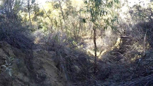 1b078941513505328864c4fee6e9893c