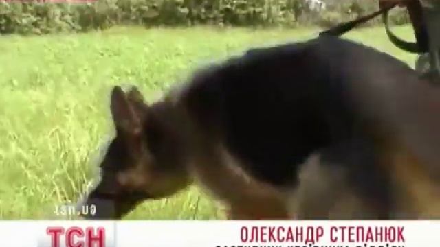 Zhzh.info Поисковая собака спасла старушку