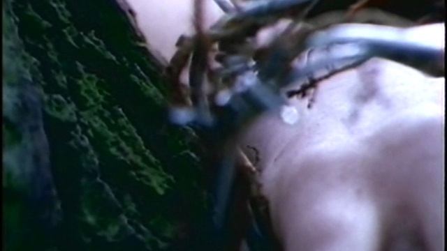 Monsters Of Metal Vol. 1 Disc 2_13