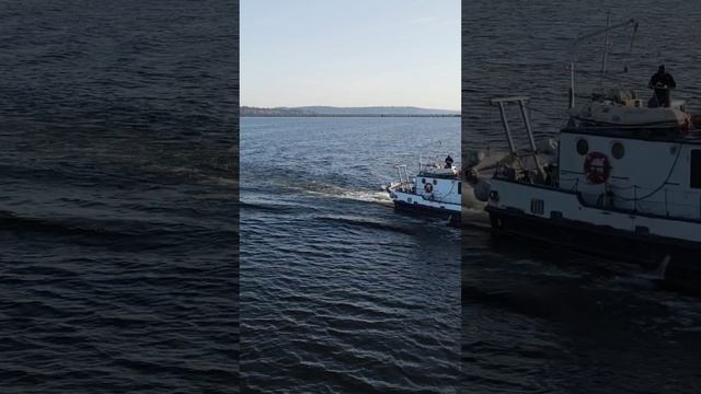A Day With The Sea Scout Ship Propeller #drone #dronevideo #boat #lakewashington #bellevuewa