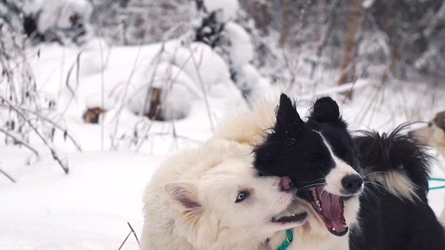 12.01.2017, тренировка на Касарке.