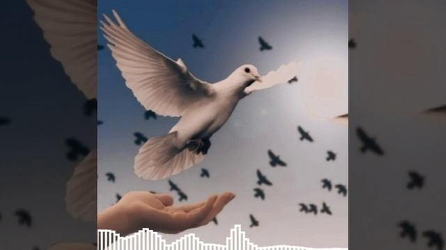 Boy L1on/ #ℙℝ𝔼𝕄𝕐𝔼ℝ𝔸_ Bomba Track_Кабутари озод