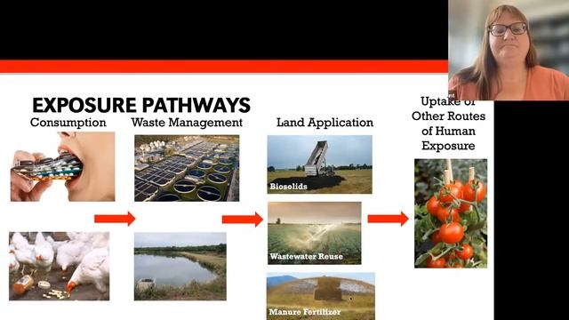 An Introduction And How AMR Develops