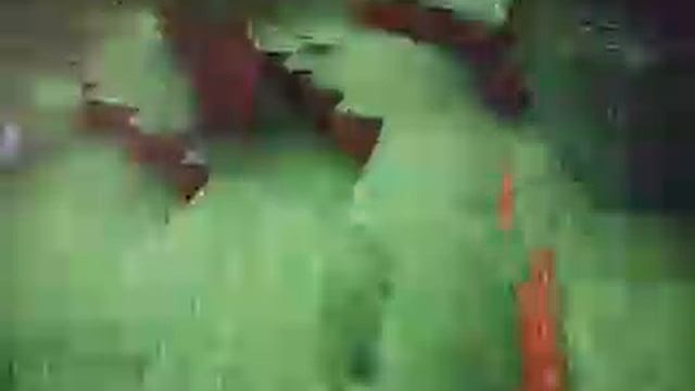 Как создать из волка собаку в майнкрафт