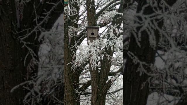 08.12.24. За день до изъятия мальчиков из семьи. Чем жила в этот день, чем занималась, о чем думала.