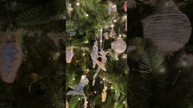 Мира в 2025 году