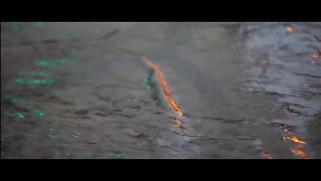 7b111739038cddd1d6b75b271768b6b5