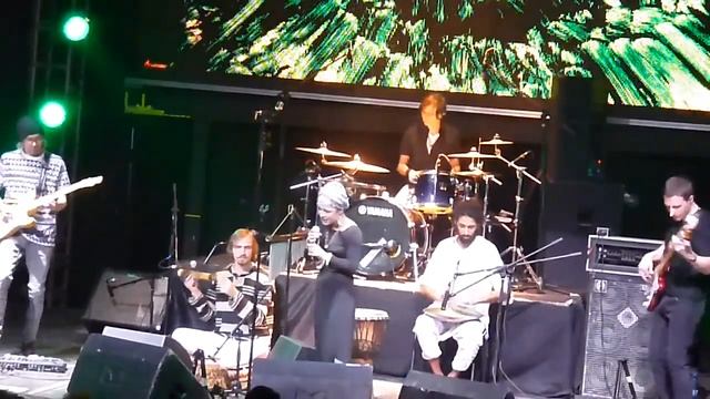 Азиза Ибрагимова - 09 Neon Tieguanyin, Москва Hall, 01 12 2013