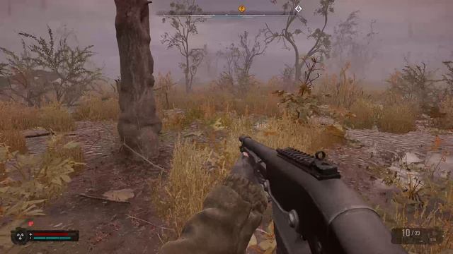 Сталкер 2 Прохождение часть 26 (Нашел Сайгу на Болотах)