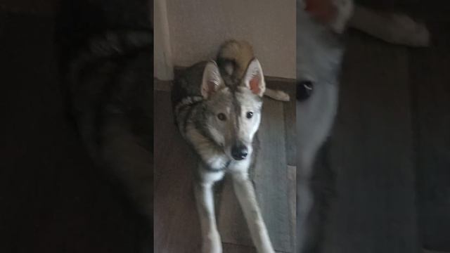 19 февраля 2024 г.