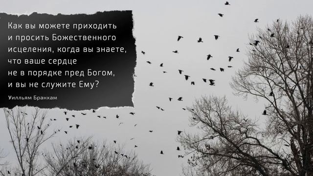 Как вы можете просить Божественного исцеления? – цитата У.М. Бранхам