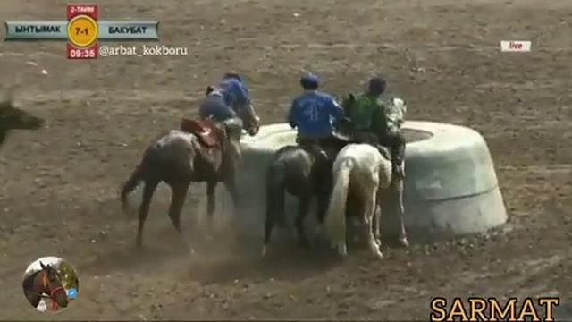 Кок бору