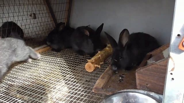 0b28e149bc59213788b2cc505505e0e7