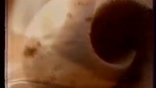 Реклама Мороженого Оазис 2002