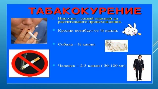 профилактика