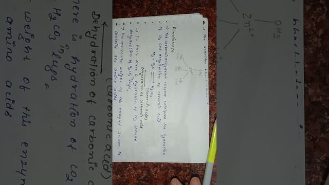 Zinc Metalloenzyme (Zn Metalloenzyme)||Bio-inorganic Chemistry